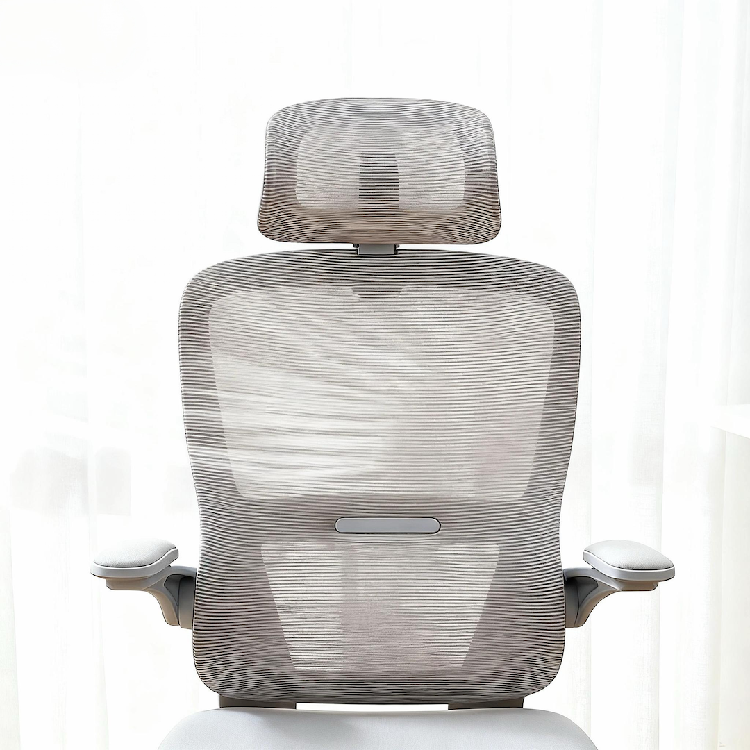 JUOL Living ErgoFlex Mesh Ergonomic Office Chair
